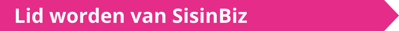 pijl wat doet sisinbiz voor jou
