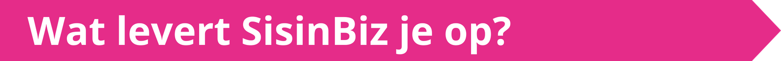 pijl wat doet sisinbiz voor jou